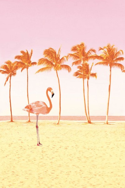 Flamingo mural pink