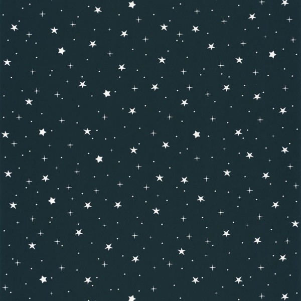 Non-woven wallpaper night blue shining stars Our Planet