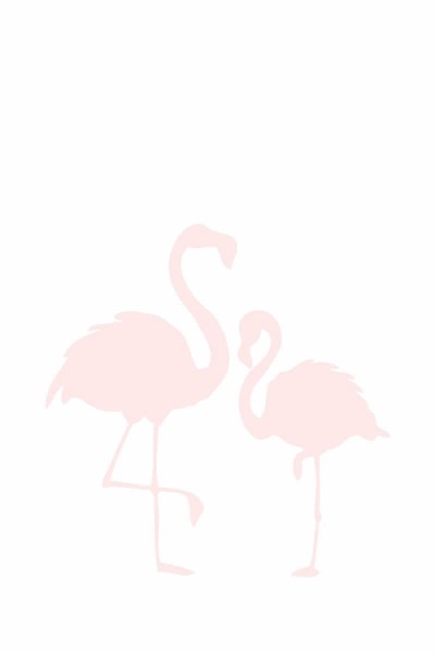 Flamingos Pink Mural