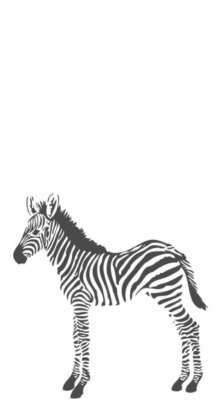 Wandbild Schwarz Weiß Zebra